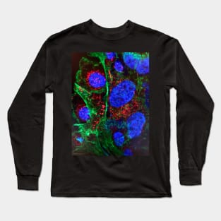 Cell biology art - nucleus and mitochondria - immune histology fluorescence Long Sleeve T-Shirt